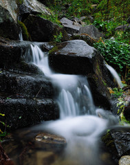 Waterfall at the carpatian mountains green forest