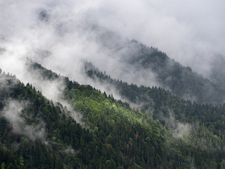 Fog and mist at the village in carpatian mountains