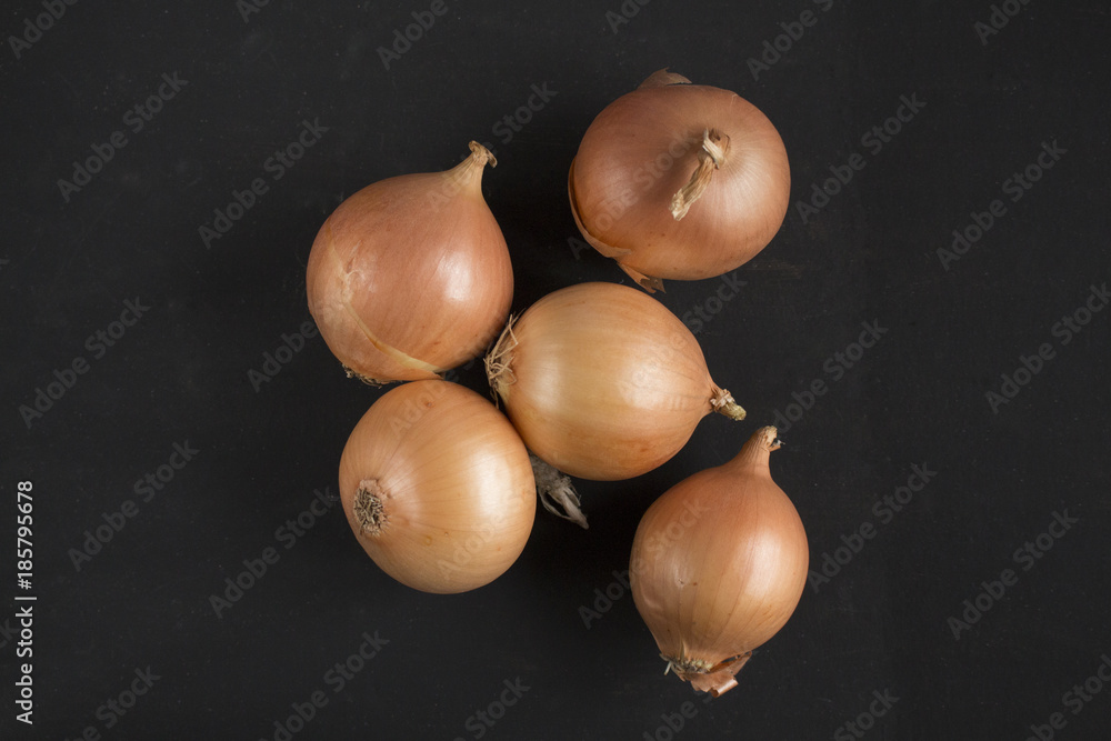 Wall mural onion on black paper