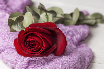 Beautiful romantic composition. St. Valentine's Day
