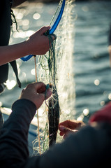 fishing by net