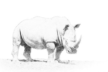 Naklejka premium Rhino. Sketch with pencil