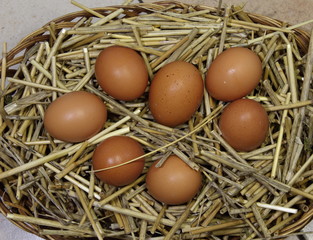 Chicken eggs in a basket with straw.