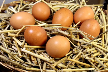 Chicken eggs in a basket with straw.