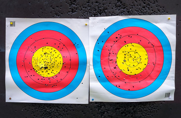 Color of target face papers. They are equipments of archery sport.