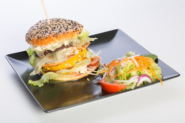 Close up of double cheese beef burger with salad
