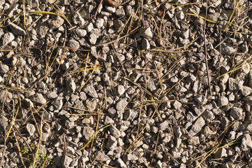 rocky ground texture at autumn. background.