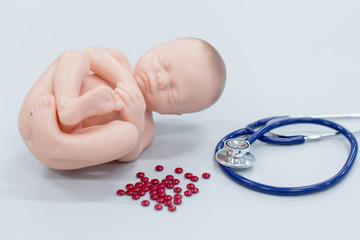 Embryo model, fetus medicine and treatment concept for classroom education.