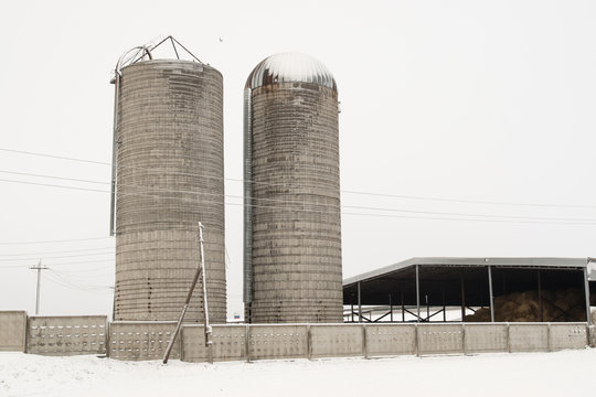 Silo tower. Winter snow. The concept of tasty and healthy ecological food produced on the farm.