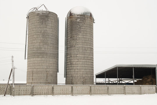 Silo tower. Winter snow. The concept of tasty and healthy ecological food produced on the farm.