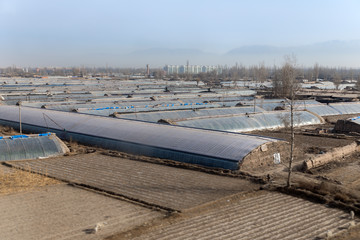 Greenhouses on agricultural field outside the city