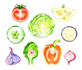 Vegetables slices, halves collection, isolated hand painted watercolor illustration