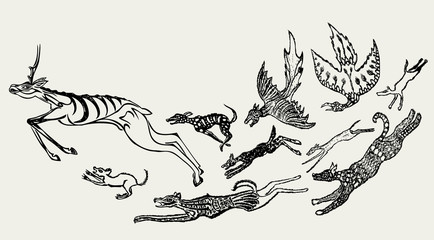 Fantastic creatures hunt a deer