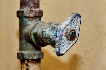 Crane on a rusty pipe.