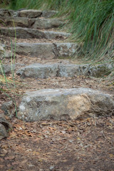 Stone steps in the middle of the park
