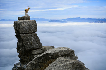 unlimited motivation & perspective & emancipatory & success-focused