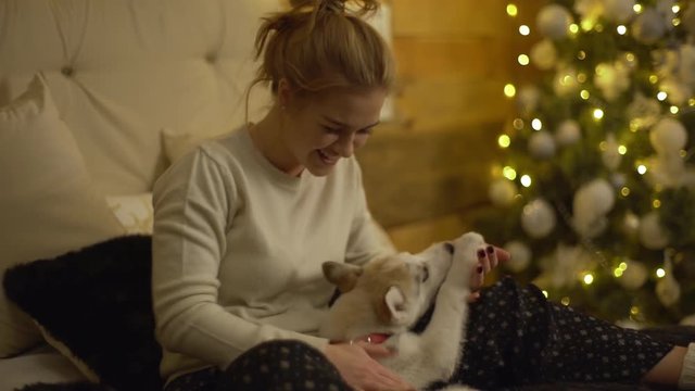 Cute picture of cheerful female 20s playing with her little dog fooling around taking pleasure in spending time together at home in winter holidays 