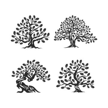 Huge and sacred oak tree silhouette logo isolated on white background. Modern vector national tradition green plant icon sign design set.
Premium quality organic bonsai logotype flat illustration.