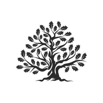Huge and sacred oak tree silhouette logo badge isolated on white background. Modern vector national tradition green plant icon sign design. 
Premium quality organic bonsai logotype flat illustration.