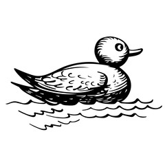 Toy duck on the water