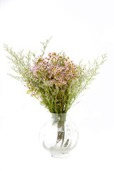 bouquet of flower on glass vase on white isolated background