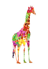 Giraffe in exotic flowers (orchid, hibiscus) and tropical leaves. Watercolor floral tropic