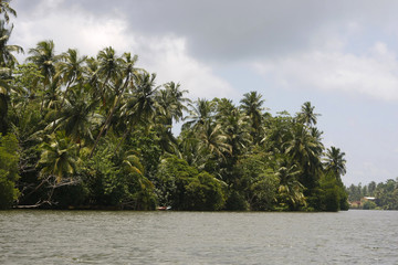 Küste im Süden von Sri Lanka