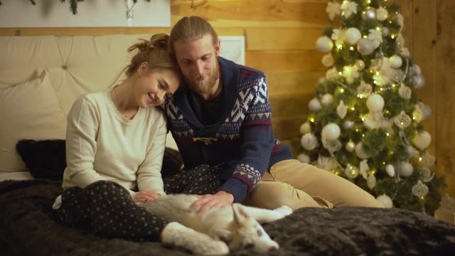 Nice portrait of beautiful couple sitting on bed taking pleasure in petting little husky dog enjoying spending time together during family Christmas evening