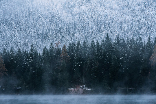 Cabin at Lake Eibsee with pine forest during early winter on a blue hour moody day, bavaria, Germany