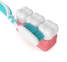 3d render of teeth with toothbrush