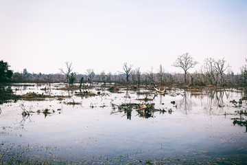 Naklejka premium neak pean in Cambodia