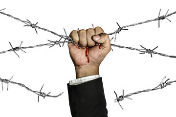 Conqueror barriers behind barbed wire