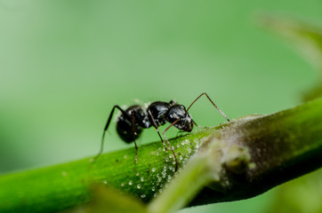 Mundo macro