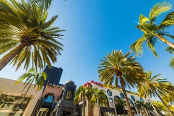 Zelfklevend Fotobehang Palm trees in Beverly Hills © Gabriele Maltinti