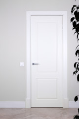 White door and switch on a light gray wall. The bright elements of the interior