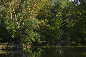 Fototapeta na wymiar Lumières sur l'eau du Marais Poitevin à Damvix (85420), département de la Vendée en région Pays de la Loire, France 