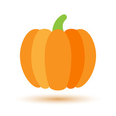 Colorful Pumpkin icon with shadow gourd flat