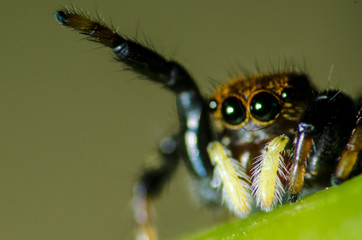 Mundo macro