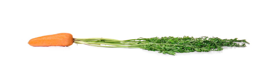 Tasty ripe carrot on white background