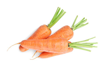 Tasty ripe carrots on white background
