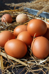 Eggs of brown chicken on a wooden background with straw with copy space in rustic vintage style