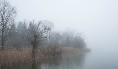 Fototapeta na wymiar Ufer des Pfäffikersees im Nebel