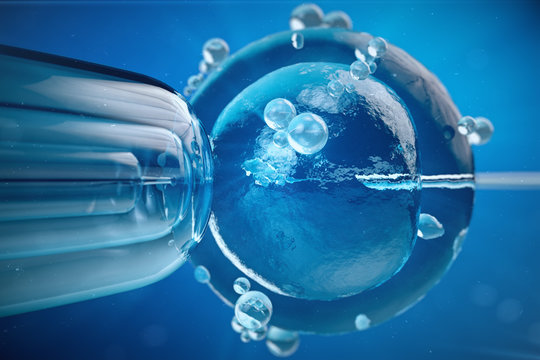 3d illustration artificial insemination, fertilisation, Injecting sperm into egg cell. Assisted reproductive treatment.