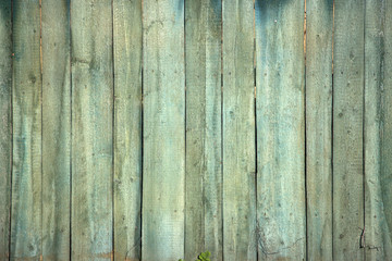 The old green wood texture with natural patterns