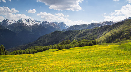 Fototapeta na wymiar in the Mountains near Ftan, Switzerland