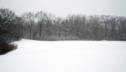 Fototapeta na wymiar Unblemished field after a heavy snow 