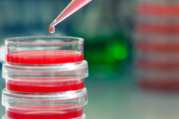 Laboratory of polymer chemistry