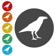 Crow vector illustration design, Crow silhouette 