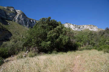 Sentiero, paesaggio, sulla sponda sinistra verso i laghetti, Riserva Naturale Orientata Cavagrande del Cassibile