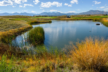 Autumn Mountain Pond - Autumn view of a small pond in Bear Creek Trail Park, Denver - Lakewood,...